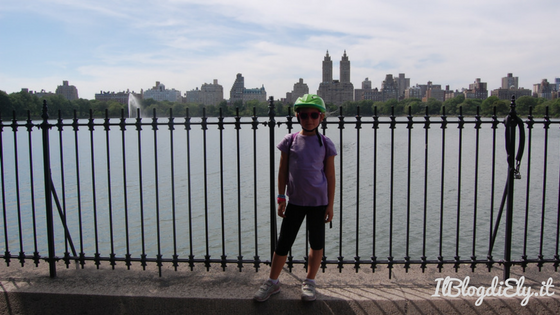 central park organizzare un viaggio a new york