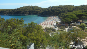spiagge per famiglie elba fetovaia