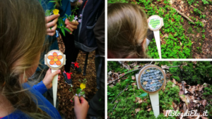 segnali per distintivi nel bosco